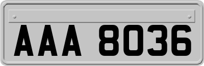 AAA8036