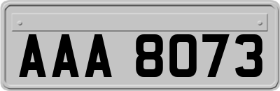 AAA8073