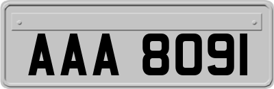 AAA8091