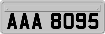 AAA8095