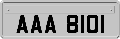 AAA8101