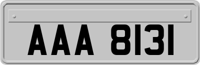 AAA8131