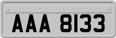 AAA8133