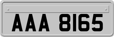 AAA8165