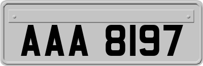 AAA8197