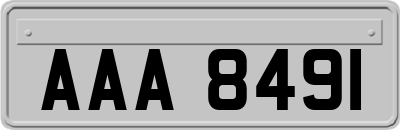 AAA8491