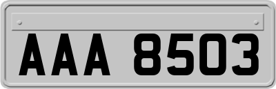 AAA8503