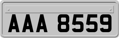 AAA8559