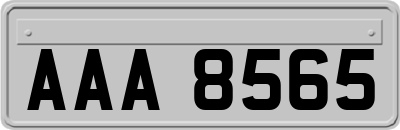 AAA8565