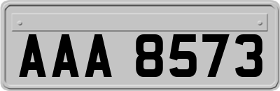 AAA8573