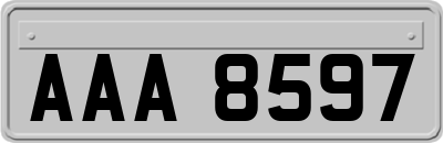 AAA8597