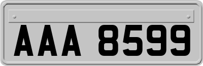 AAA8599