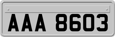 AAA8603