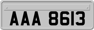 AAA8613