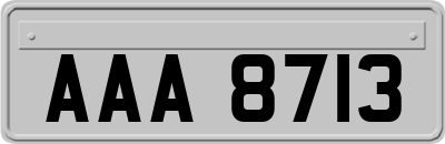 AAA8713