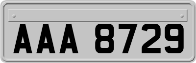 AAA8729