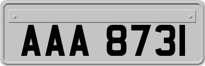 AAA8731