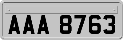 AAA8763