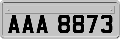 AAA8873