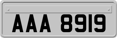 AAA8919