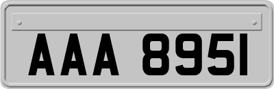 AAA8951