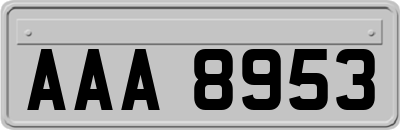 AAA8953