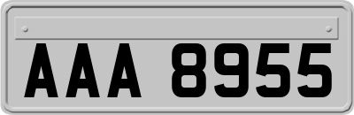 AAA8955