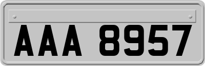 AAA8957