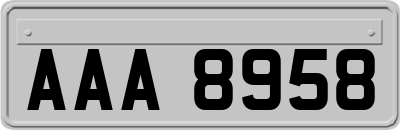 AAA8958