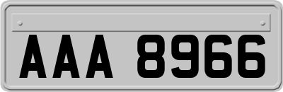 AAA8966