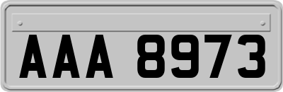 AAA8973