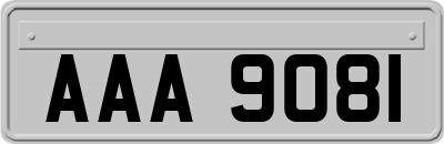 AAA9081