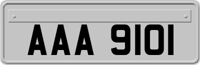 AAA9101