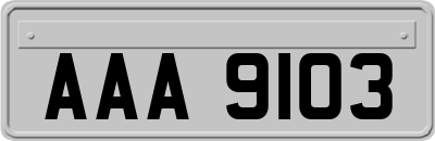 AAA9103