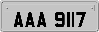 AAA9117