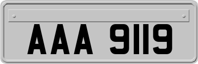 AAA9119