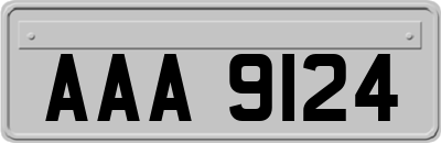 AAA9124