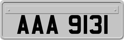 AAA9131