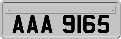 AAA9165