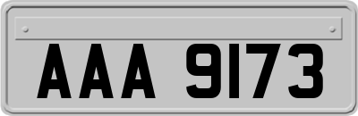 AAA9173