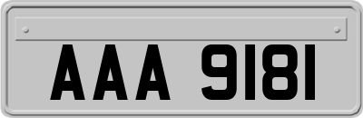 AAA9181