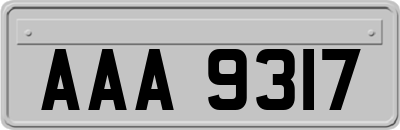 AAA9317