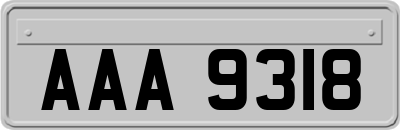 AAA9318