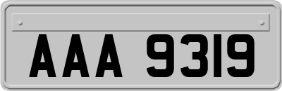 AAA9319