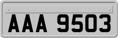 AAA9503