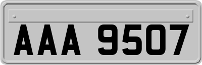 AAA9507