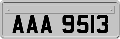 AAA9513