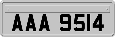 AAA9514