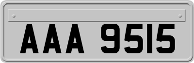 AAA9515