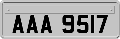 AAA9517